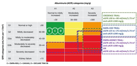 EMPA-Kidney: ‘Empa’sizing the role of Flozins in Chronic Kidney Disease ...