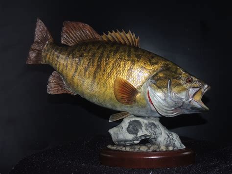 Jeff's Trophy Fish Mounts at Marc Woodard blog