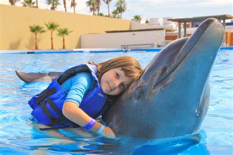 Read Up on These Fun Dolphin Facts for Kids | Vallarta Adventures