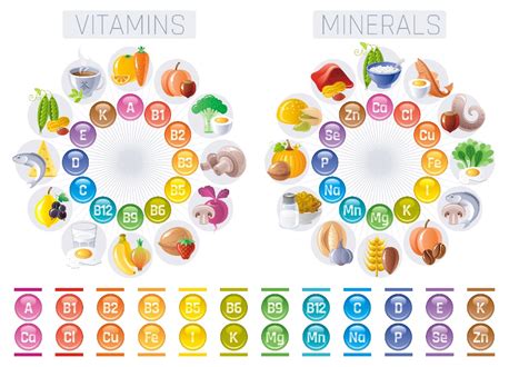 A Guide to Micronutrients: Recommendations & Sources [NASM]