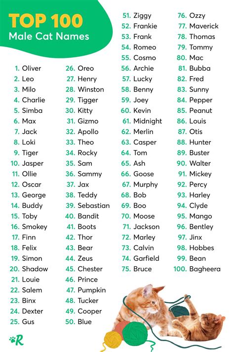 The 100 most popular cat names of all time – Artofit