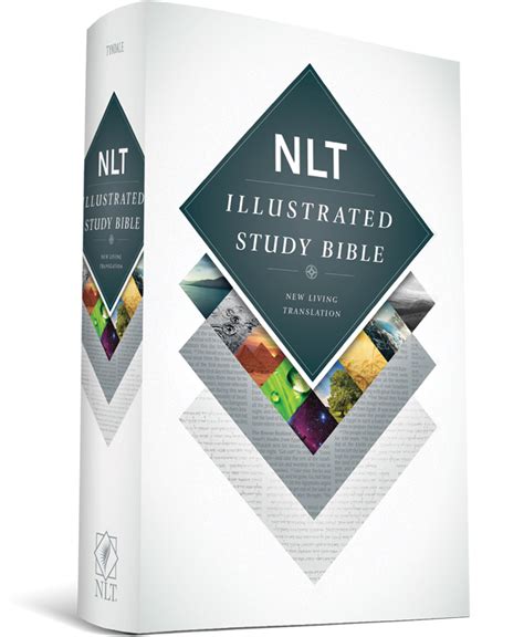 The NLT Illustrated Study Bible... and a Giveaway! - Renewed Daily