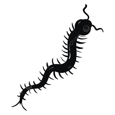 Black Centipede PNG, Vector, PSD, and Clipart With Transparent ...