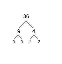 How do you find all factors of 36? | Homework.Study.com