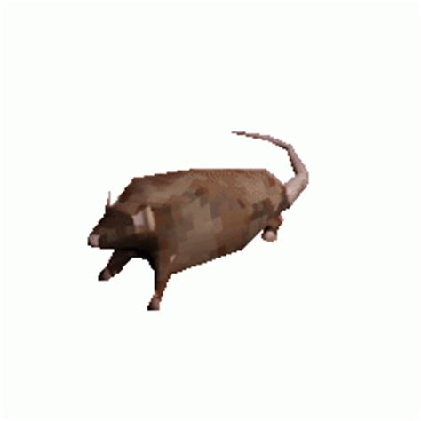 Rat Spinning Sticker - Rat Spinning 3d - Temukan & Bagikan GIF