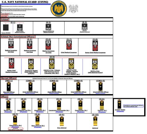 Hypothetical rank and specialty insignia for medical personnel in the ...