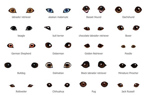 4,097 Dog Eyes Different Color Images, Stock Photos, 3D objects ...