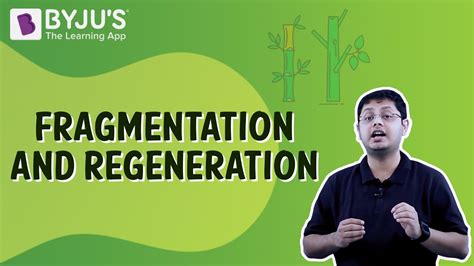 What Is Fragmentation In Biology Class 8? The 13 Latest Answer ...