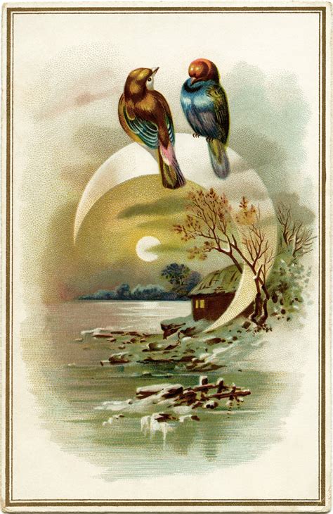 Evening Bird Scene ~ Free Vintage Image - The Old Design Shop