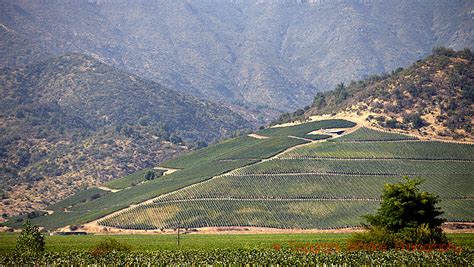 Viña Vik vineyards, splendour and magnificence in Chile | BKWine Magazine