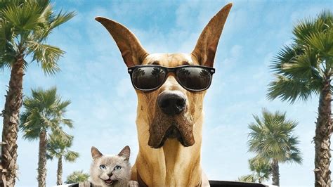 Watch Marmaduke Online | 2010 Movie | Yidio