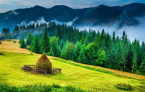 Bucovina Region - Visit Romania - TravelMakerTours