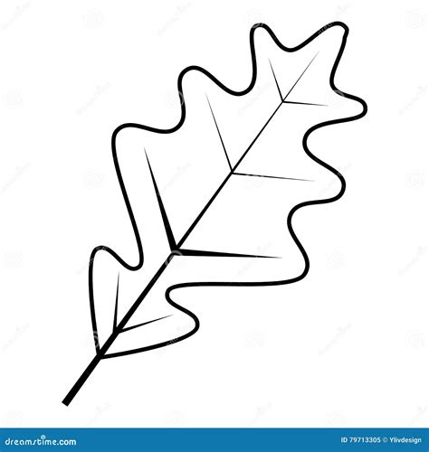 Leaf icon, outline style stock vector. Illustration of leaves - 79713305