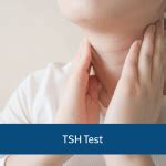 TSH (Thyroid Stimulating Hormone) Test with Reflex | TSH Blood Test