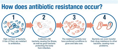 Ticherhaz's Blog: Antibiotic Resistance