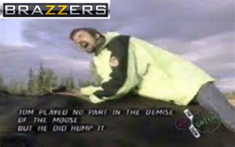 Tom GREEN humping a dead moose | Brazzers | Know Your Meme