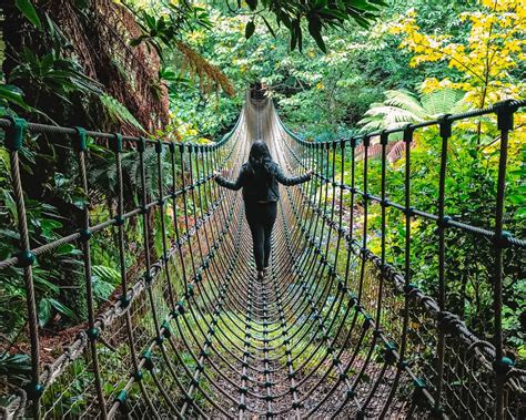 The Lost Gardens Of Heligan: The Ultimate Visitor Guide With The ...