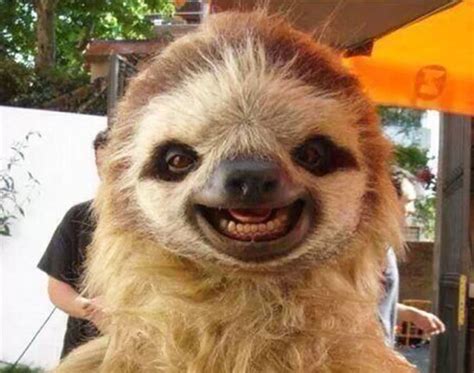 The 30 Happiest Animals In The World That Will Make You Smile | Bored Panda