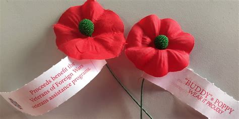 Memorial Day & meaning of Buddy Poppies - The Westside Express