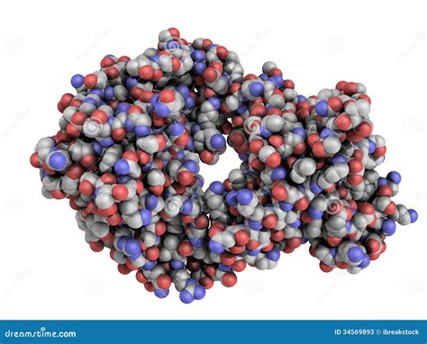 Alemtuzumab Fab Fragment Computer Model Stock Illustration ...