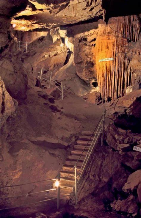 Point of Interest: Organ Cave | West virginia travel, West virginia ...