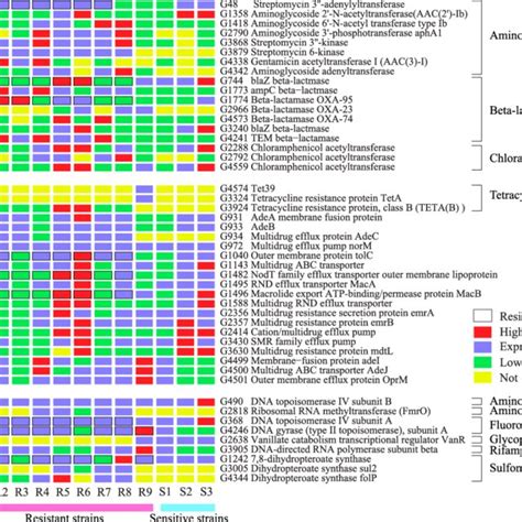 Antibiotic resistance genes were widely distributed in resistant and ...