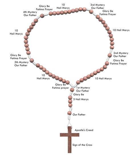 Devotion to the Most Holy Rosary - Mater Dei Catholic Parish