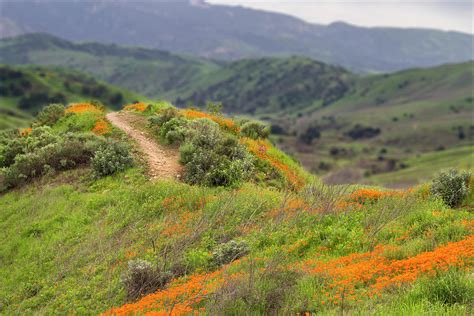 Chino Hills State Park 12 Photograph by The Ecotone - Fine Art America