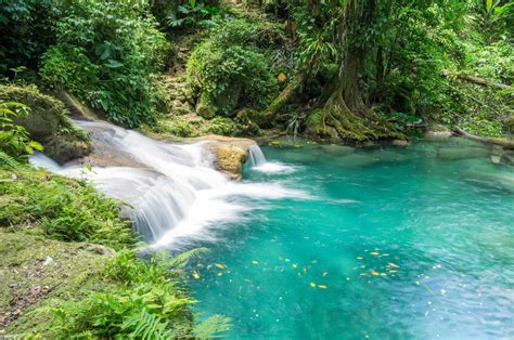 Top 5 Jamaican Waterfalls