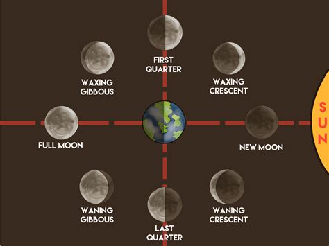 How to Make a Moon Phases Chart: 12 Steps (with Pictures)