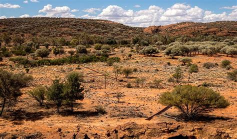 Arid And Desert Soil