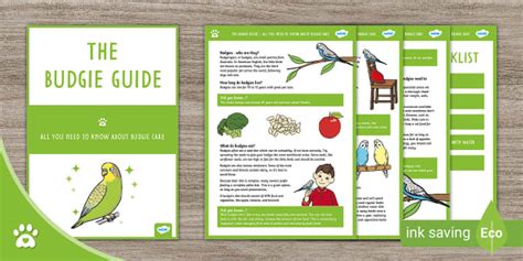 The Ultimate Budgie Guide - Pet Care Guide - Twinkl Pets