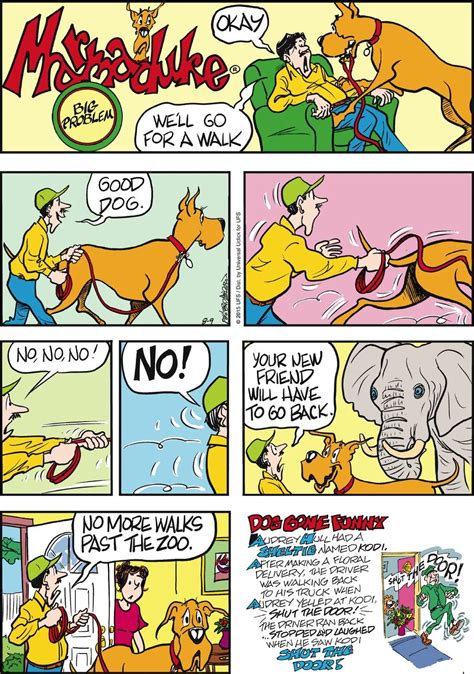 Today on Marmaduke - Comics by Brad Anderson in 2020 | Marmaduke, Comic ...