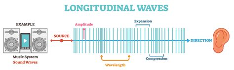 Longitudinal Waves Study Guide - Inspirit