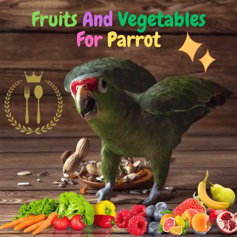 Should you add fruits and vegetables to your parrot diet?