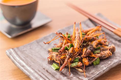 Is it safe to eat insects at the markets in Thailand?