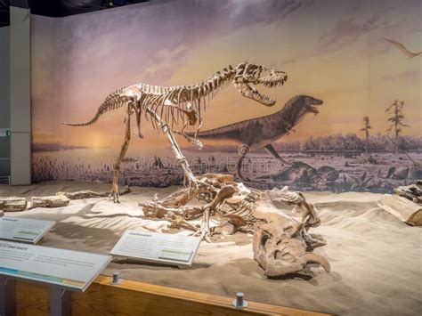 Dinosaur Exhibits at Royal Tyrrell Museum in Drumheller, Canada ...