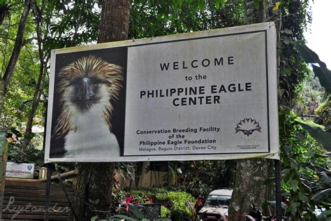 Meeting Mindanao at the Philippine Eagle Center - Leylander | A Life ...