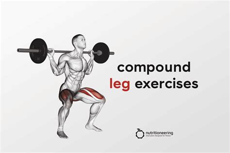 21 Best Compound Leg Exercises for Glutes, Hamstrings, & Quads