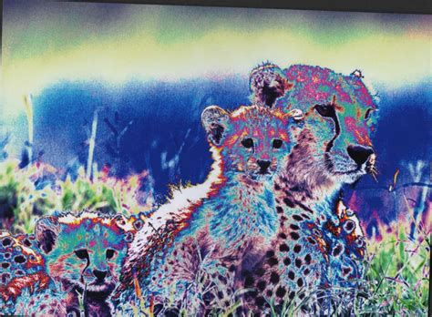 Rainbow Cheetahs by AN1k3T0S on DeviantArt