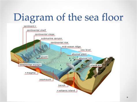 Ocean Floor Diagram Seamount | Review Home Co