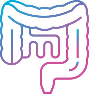 Colon Logo PNG Vector (AI, SVG) Free Download