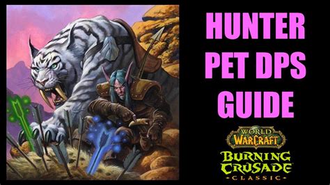 Hunter tbc guide