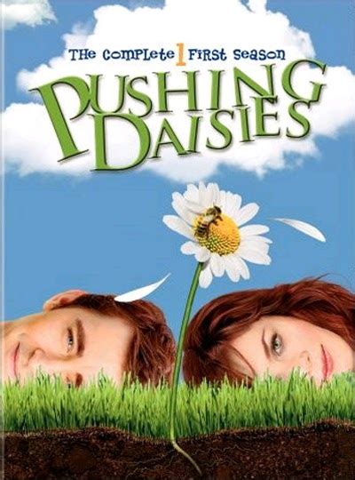 mediafireseason: Pushing Daisies season 1