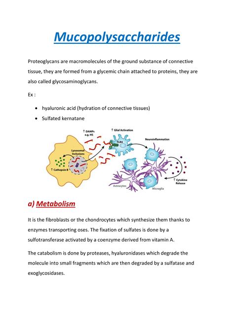 Mucopolysaccharides - Mucopolysaccharides Proteoglycans are ...