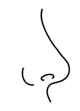 Nose Outline Vector | Coloring Page