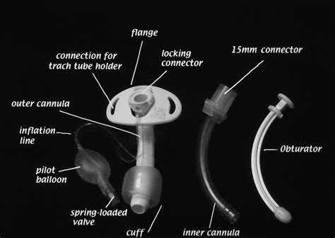 Tracheostomy Tube Parts