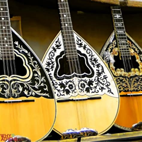 The bouzouki is a mainstay of modern Greek music and central to the ...