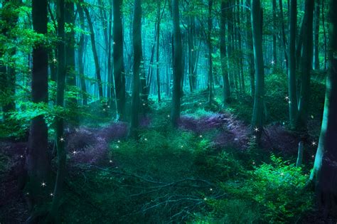 Mystical Forest Wallpaper