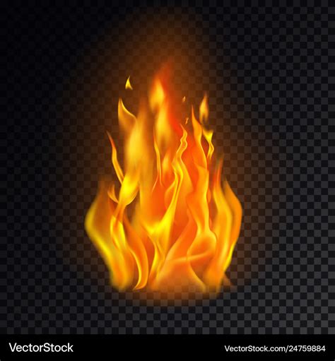 Isolated fire emoji on transparent background Vector Image